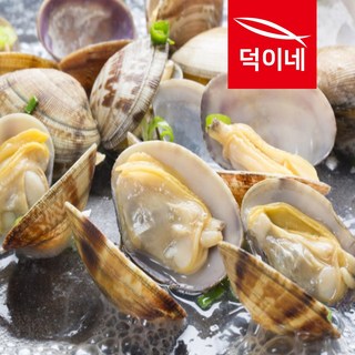 경남 통영 왕바지락 1kg 3개이상구매 칼국수200G 애호박 1개 지급, 왕바지락1kg
