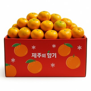 제주 명품 하우스 귤 타이백 감귤 5kg