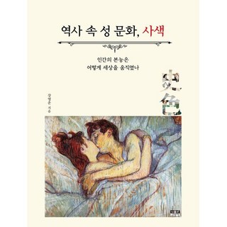역사 속 성 문화 사색:인간의 본능은 어떻게 세상을 움직였나, 인물과사상사, 강영운