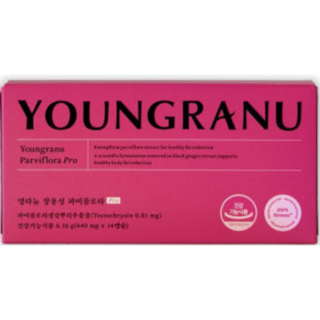 식약처 인증 영라뉴 장용성 파비플로라 생강뿌리 추출물 다이어트 텍토크리신 케르세틴 비타민k2, 1개, 14정