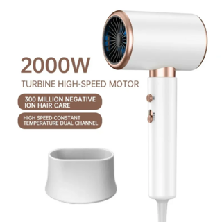 F33 T821 헤어 드라이어 차가운 바람 브러시 네거티브 Lonic 블로우 건조기 강력한 PowerDryer 도구 240, 03 F37-white