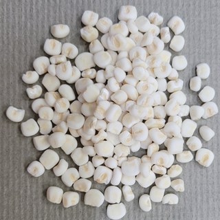 [다온농산] 국산 깐찰옥수수알 -1Kg- 찰옥수수를 깐통알로 도정 / 강원도 홍천산, 1kg, 1개