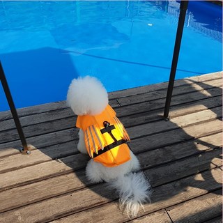 리치독스 강아지 구명조끼 소형견 중형견 날개 구명조끼, 오렌지, 1개