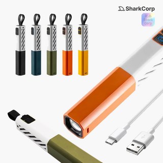 레이저 Razer Pro Type 사용 모습