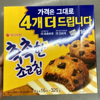 오리온 촉촉한 초코칩, 20g, 16개