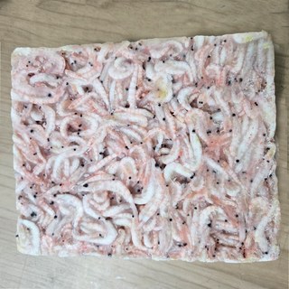 동원 알이굵은 에이급 밑밥크릴 L사이즈