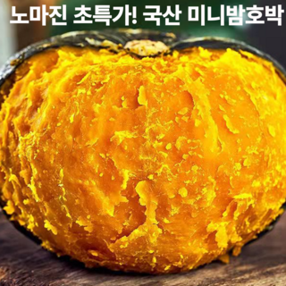 [하루30박스한정!] 초고당도 명품보우짱 밤호박 미니단호박, 1박스, 10kg