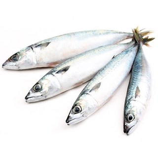 새우몰 국산 냉동고등어 10kg 28미내외 겨울제철에 잡아 맛이 좋아요, 1개