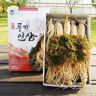 [풍기인삼] 6년근 인삼 수삼 한채, 원수삼(대) 750g(9~10뿌리), 1박스