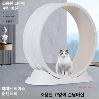 My Dream Cat 캣휠 무소음캣휠 고양이런닝머신 고양이쳇바퀴 전동캣휠, 80x85x33, 화이트, 1개