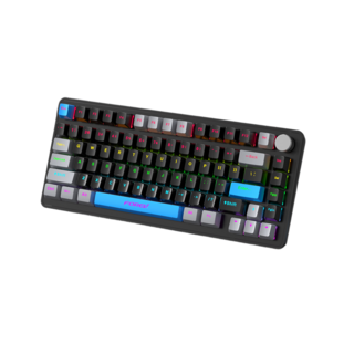 AULA 펀키스 유무선 독거미 한글 기계식 키보드