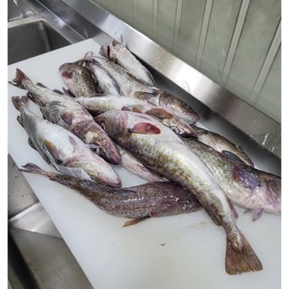 동해안 손질대구2KG내외, 1개, 2KG