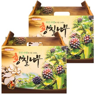 건강중심 국산 황칠나무 즙 진액, 120개, 100ml