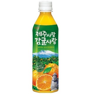 롯데칠성음료 제주사랑 감귤사랑 주스, 500ml, 6개