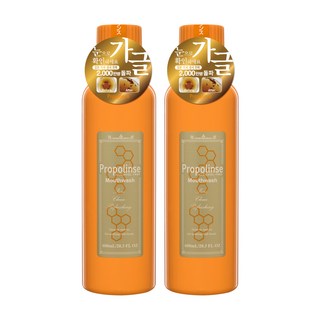 프로폴린스 프로가글 600ml 찌꺼기가글 구강청결제 입냄새제거제, 2개 천연가글 프로폴린스 프로가글 600ml 찌꺼기가글 구강청결제 입냄새제거제, 2개 천연가글