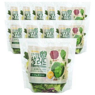 데이밀 자연을담은 샐러드 실속A 100g x 10팩 국내산 야채믹스, 10개, 씨트러스랜치드레싱 10개