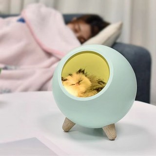 LED 터치 무드등 고양이 밤 빛 분위기 침실 수면 꿈 선물