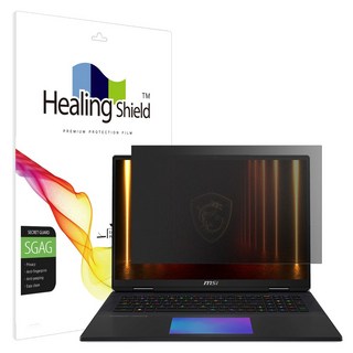 3. 힐링쉴드 MSI..