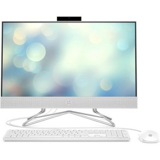 HP 2023 AIO-22-DD0224 올인원 데스크톱 21.5" 1920 x 1080 인텔 셀러론 프로세서 J4025 2코어 UHD 그래픽 4GB DDR4 256GB SSD, 16GB RAM | 1TB SSD, Windows 10 Pro, 1개