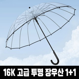 믿을 수 없는 투명 우산
