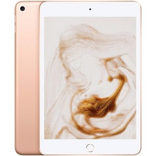 아이패드 키보드 보호필름 케이스 Apple iPad Mini 5세대Wi-Fi 셀룰러 64GB - 스페이스 그레이 리퍼, Wi-Fi, 256GB, Gold