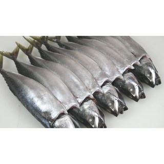 부산 자반고등어 특대사이즈 10마리 간고등어, 1개, 3.5kg