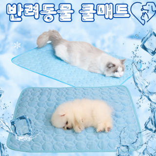 [이월재고할인 70%] 브로킥 강아지 고양이 쿨매트 여름방석 아이스매트 냉감패드 XS~XXL