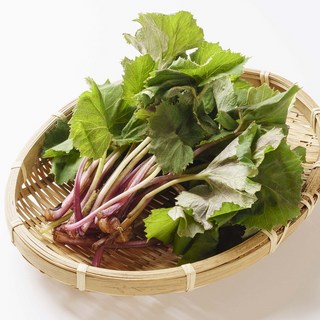 해풍맞은 해남 자연산 노지 머위, 1개, 1kg