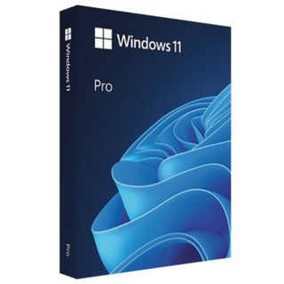 윈도우11프로 처음사용자용 Windows 11Pro FPP USB