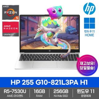 HP 255 G10 노트북