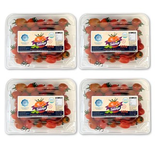 생생스토리 스테비아 대추방울토마토 대추토망고, 500g, 4개