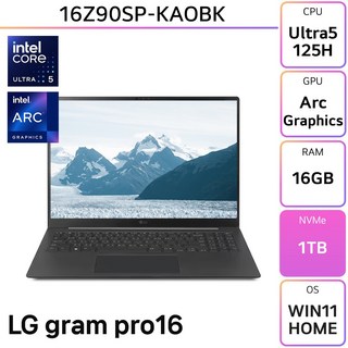 LG그램 프로 16Z90SP-KAOBK