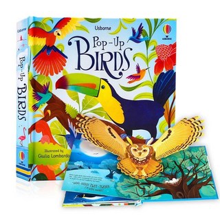 팝업 동화 그림책 골판지 색칠 활동 취침 시간 이야기 책 학습, 1개, 14. Birds