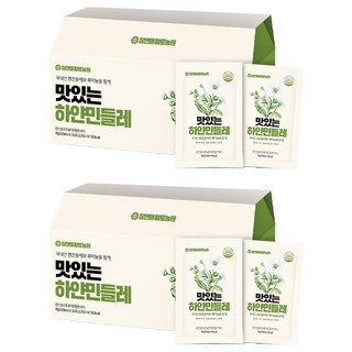 참앤들황토농원 맛있는 하얀 민들레, 2.7L, 2개