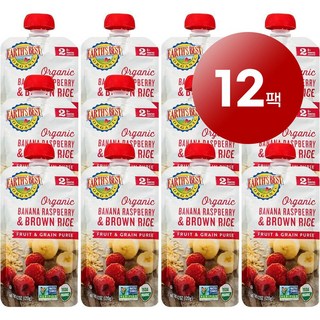 Earth's Best 6~9개월 유아용 과일 채소 이유식 120g 12개