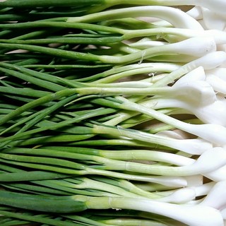 [하나로농수산] 국내산 깐쪽파 주문시 작업. 보냉박스에 출고 300g 500g 1kg, 1개