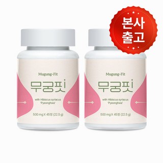2. [공식] 무궁핏..