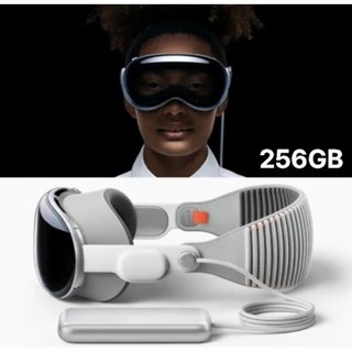 애플 비전 프로 Apple Vision Pro MR 공간 컴퓨팅 웨어러블 장비 256GB 포함, OLED, 2.5cm
