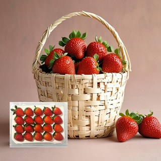 향긋항 경북 설향 생 딸기 350g~ (크기별골라담기) / 안전포장, 1개, 500g (12~24구)