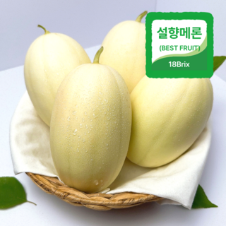 [상위 1% 명인] 고당도 고령 설향메론 성산메론, 1박스, 5kg 내외