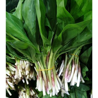 울릉도 명이나물 자연산 생채 500g 생 산마늘, 1개