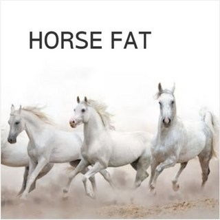 마유(horse oil)-정제(버터타입), 100ml, 1개