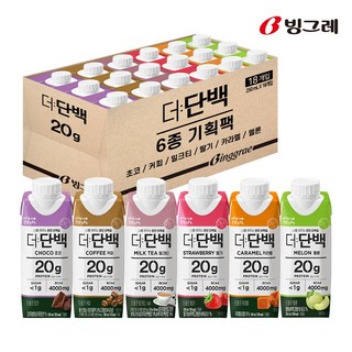 빙그레 더단백 드링크 250ml 6종 기획(초코 카라멜 커피 딸기 밀크티 멜론) 1세트