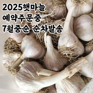 국산 의성 육쪽 한지형 통 마늘, 1박스, 3kg(특)