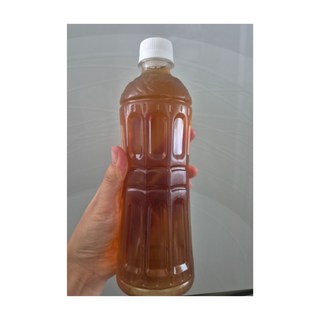 광동 V라인 옥수수 수염차 무라벨, 500ml, 60개