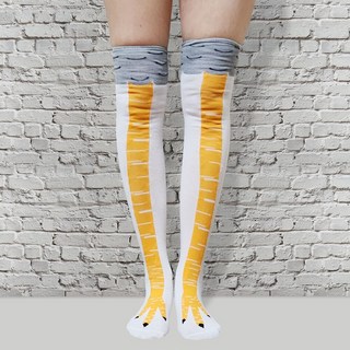 조류 니삭스 화이트