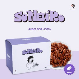 수미향 소느로 10개들이 피칸 정과 (30g X 10팩), 1개, 300g