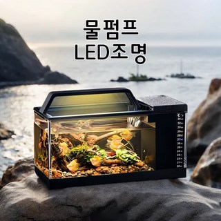 YANGTA 자동순환 물청소 어항