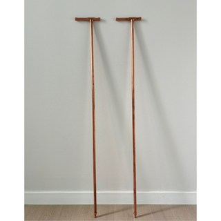 맨발전성시대 접지지팡이