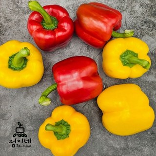 점이네 국내산 못난이 파프리카, 1개, 혼합 2kg